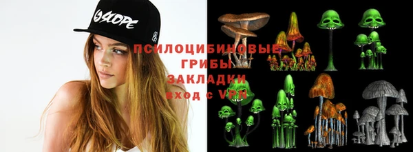 ALPHA PVP Алексеевка