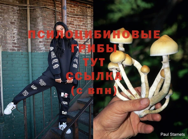 герыч Алзамай